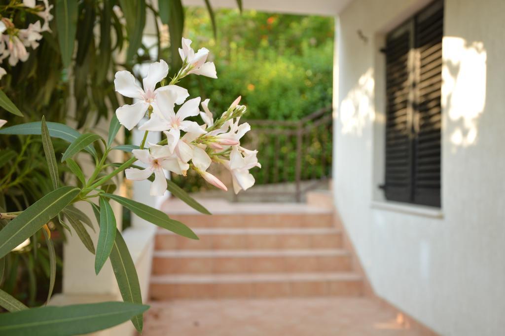 Holiday House Maja Podglavica Dış mekan fotoğraf